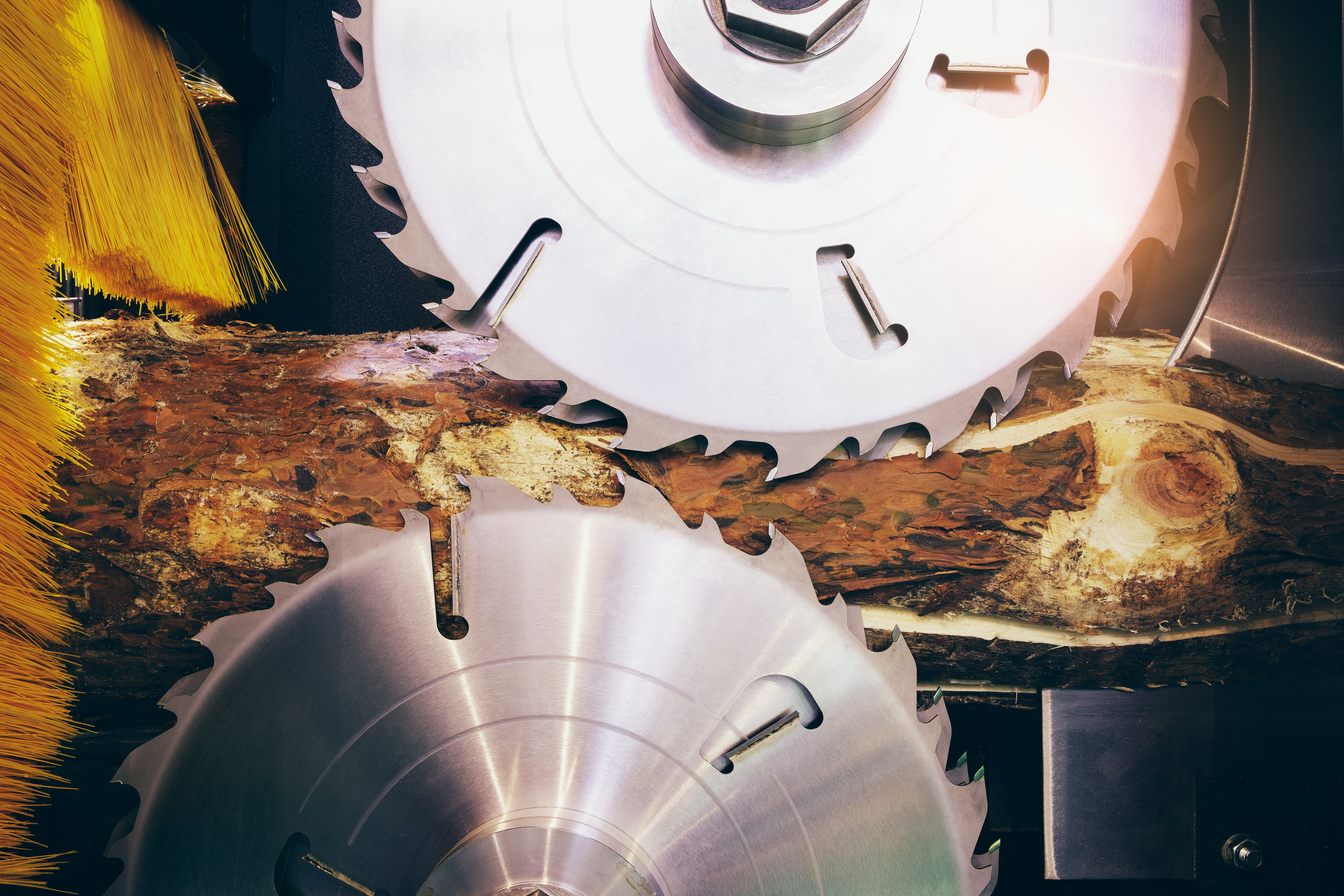 Closeup of wood saw blades and log in a saw machine.